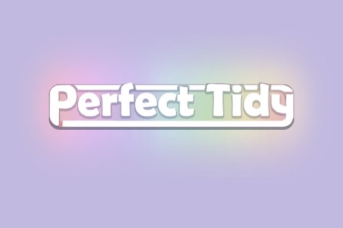 Perfect Tidy׿