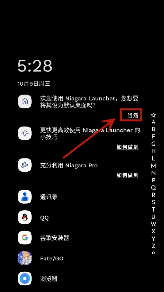 niagara launcher pro߼