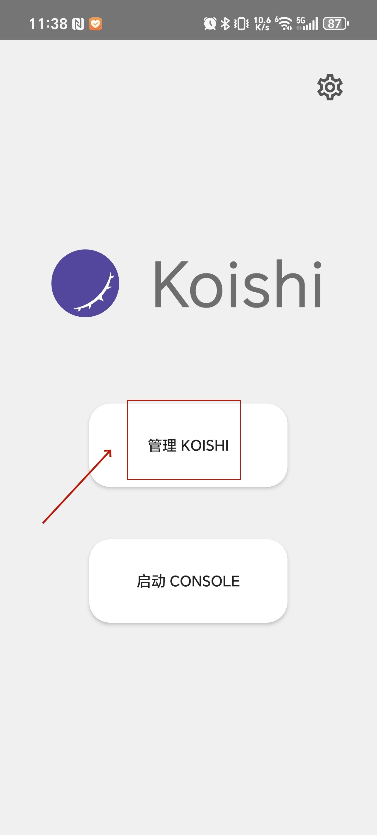 Koishi׿