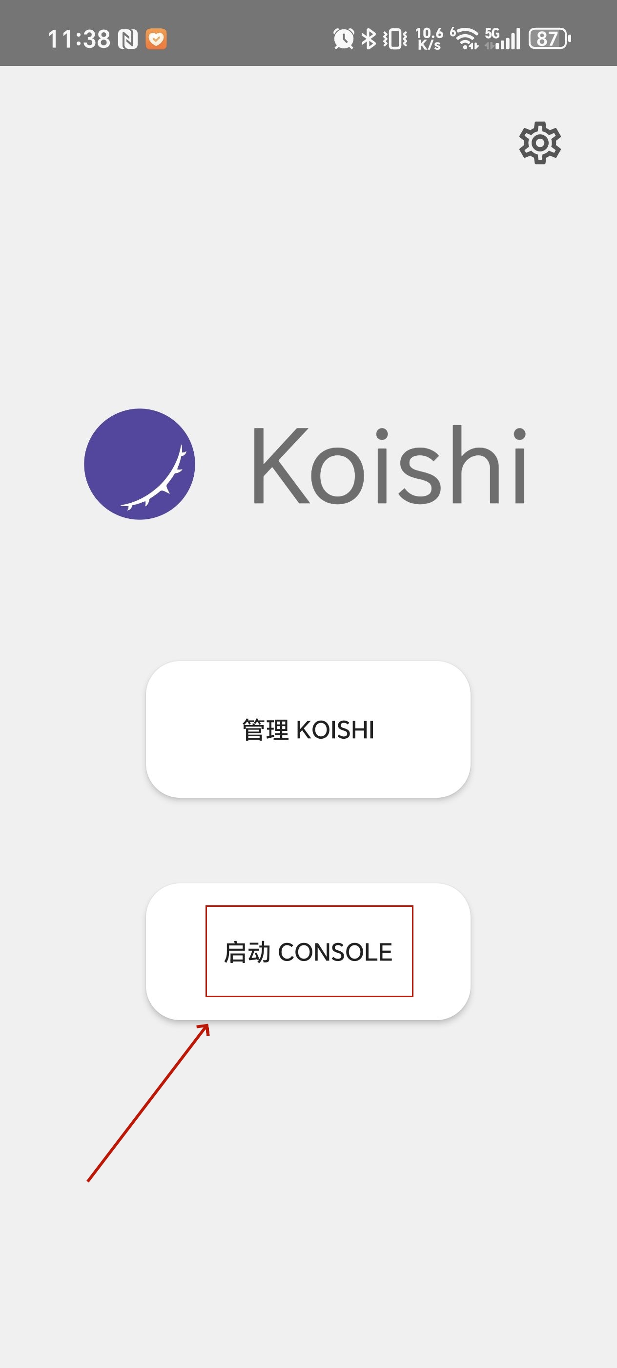 Koishi׿