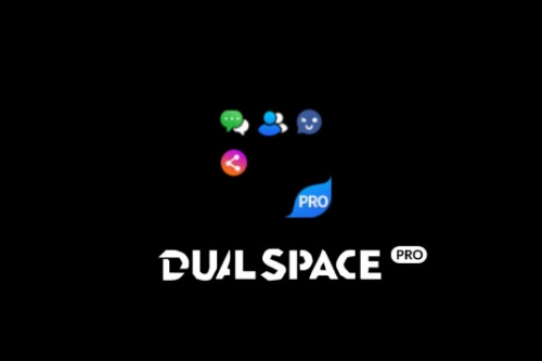 ˫ռרҵDualSpace Pro°汾