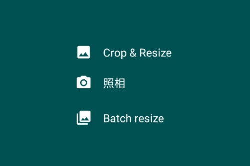 Resize Me! Proרҵ