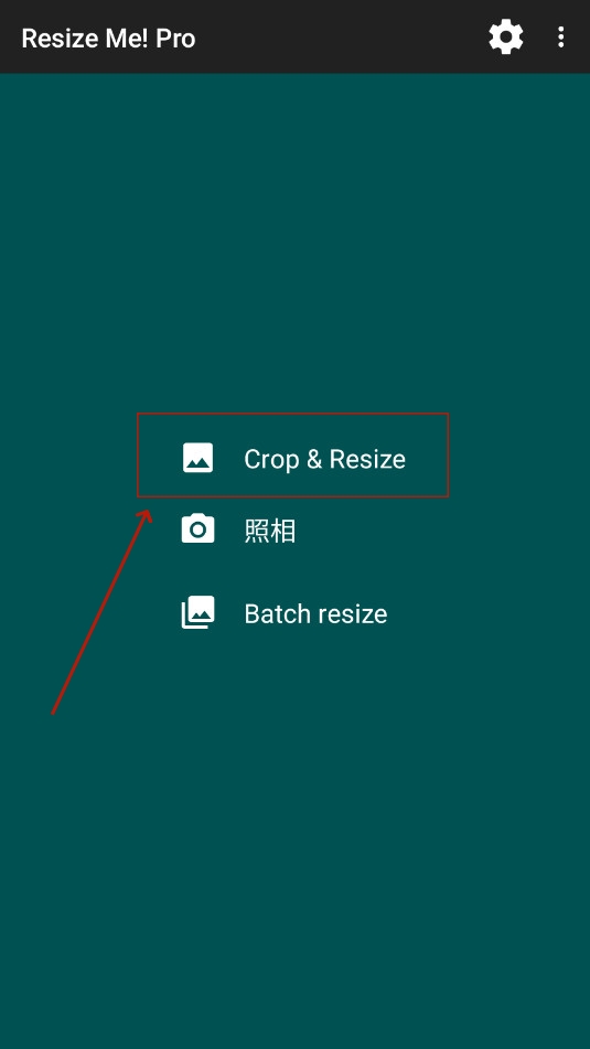 Resize Me! Proרҵ