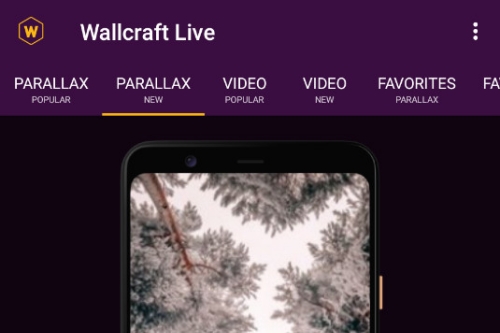 Wallcraft Liveֽ4Kֽ