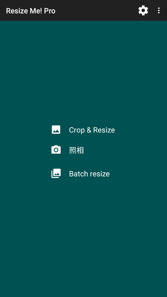 Resize Me! Proרҵͼ5