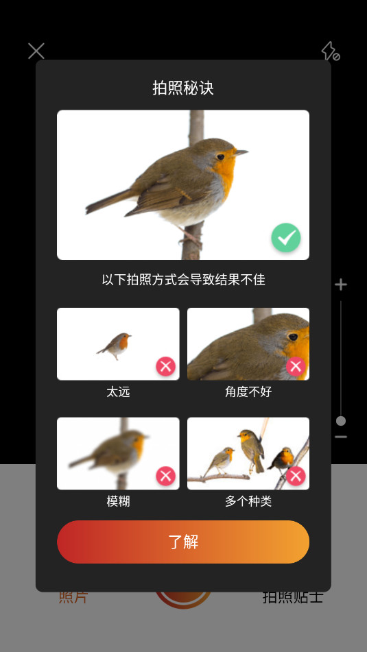 ʶPicture Birdv2.9.30ͼ2