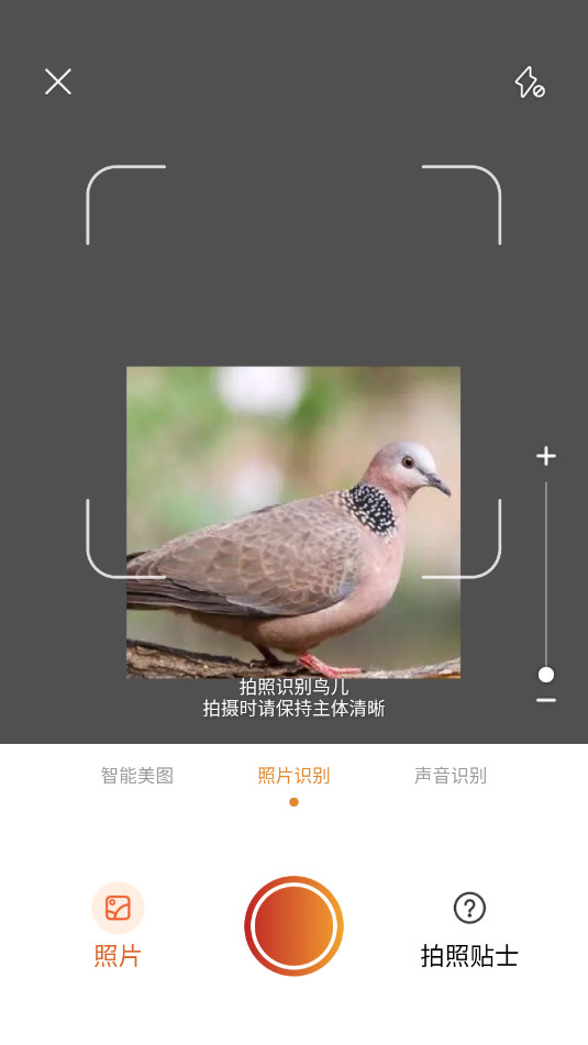 ʶPicture Birdv2.9.30ͼ1