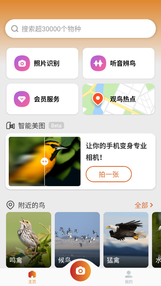 ʶPicture Birdv2.9.30ͼ4