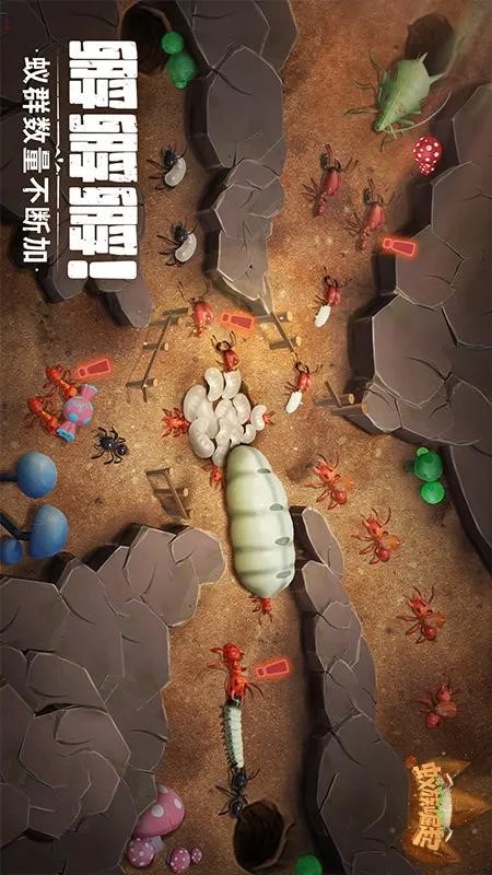 蚁族崛起(蚂蚁策略手游)截图4