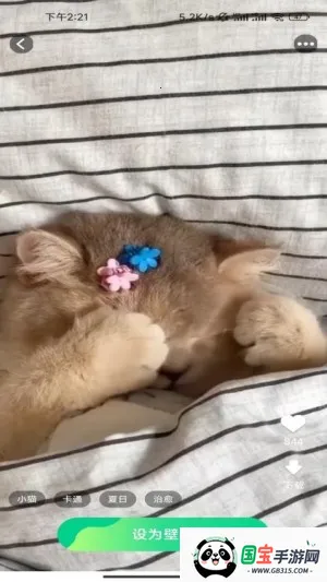 ѡȤֻֽv1.5.2.2 ׿ͼ3