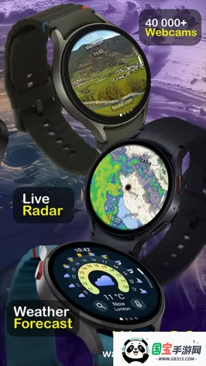 ͼventusky2025ٷv36.2 ֻͼ4