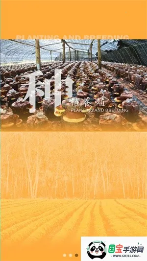 ɭũ(ũۺϷ)v1.0.12 ٷͼ1