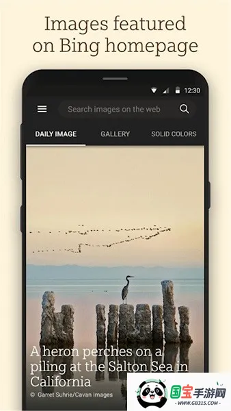 Ӧֽ2025ٷv12.0.47470801 ٷͼ3