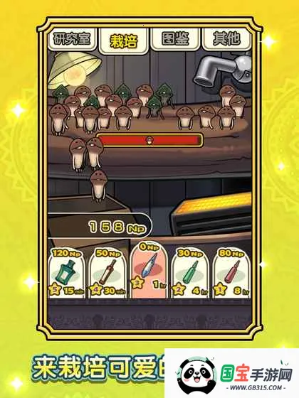 Ģ԰ļֻv1.0.0 Ѱͼ3