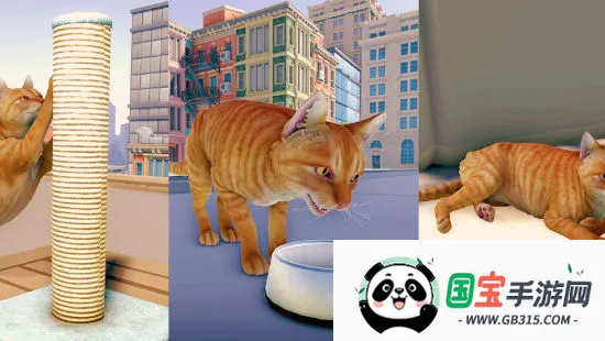 èռǴа׿ֻv1.1 ׿ͼ4