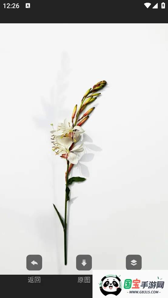 Cutisanֽ(ֻֽ)v4.1.2 ֻͼ1