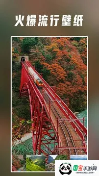 Ԫֽ(Ԫֽ)v2.8.2 ֻͼ4