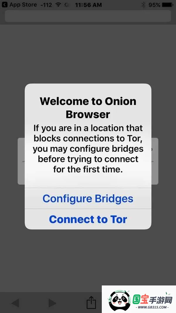 洋葱tor(隐私浏览器) 洋葱tor(隐私浏览器)