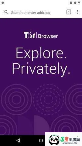 洋葱tor(隐私浏览器)v115.2.1-release (13.0.14) 安卓版截图2