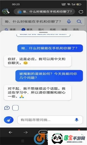 new bing(搜索引擎应用) new bing(搜索引擎应用)