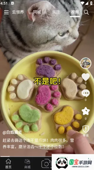 outlets(宠物社交平台) outlets(宠物社交平台)