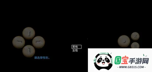 终境传说(角色扮演游戏) 终境传说(角色扮演游戏)