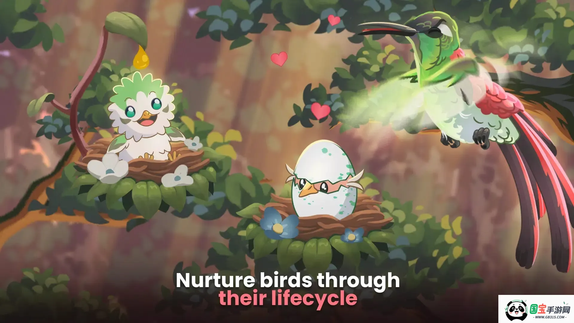 鸟类世界(鸟类养成游戏)v1.00 免费版截图1