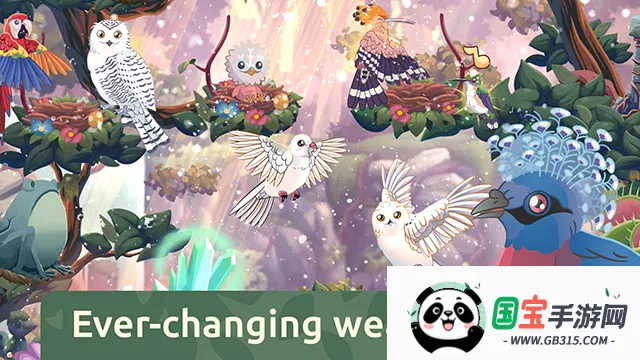 鸟类世界(鸟类养成游戏)v1.00 免费版截图3