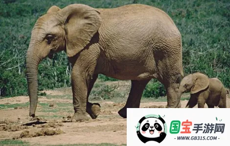 ������Ԥ��(��Ⱥ���Ԥ��)