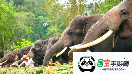 ������Ԥ��(��Ⱥ���Ԥ��)