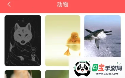 幻影壁纸2025官方最新版本 幻影壁纸2025官方最新版本