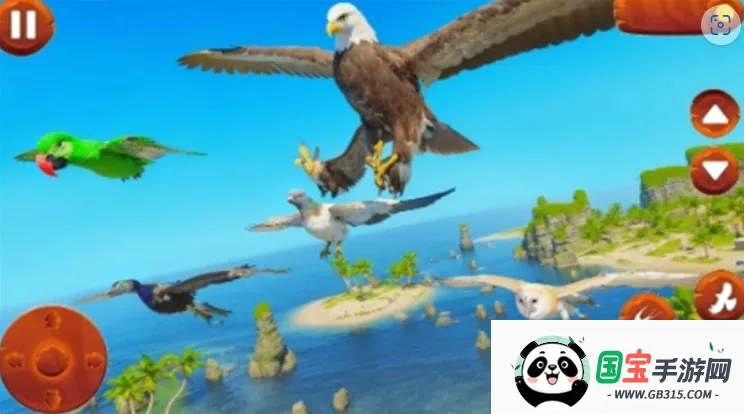 野生鸟类生活模拟器(鸟类生活模拟游戏)截图4