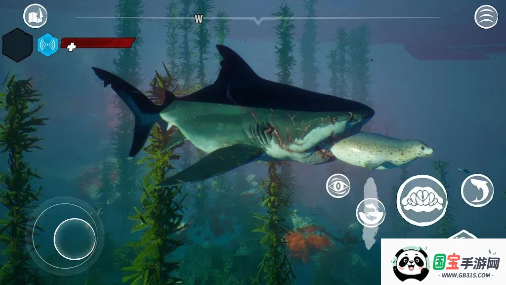 食人鲨直装最新手机版v1.4.2 官方正版截图3