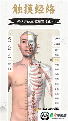 知源经络穴位2026最新版本v3.8.0 手机版截图4