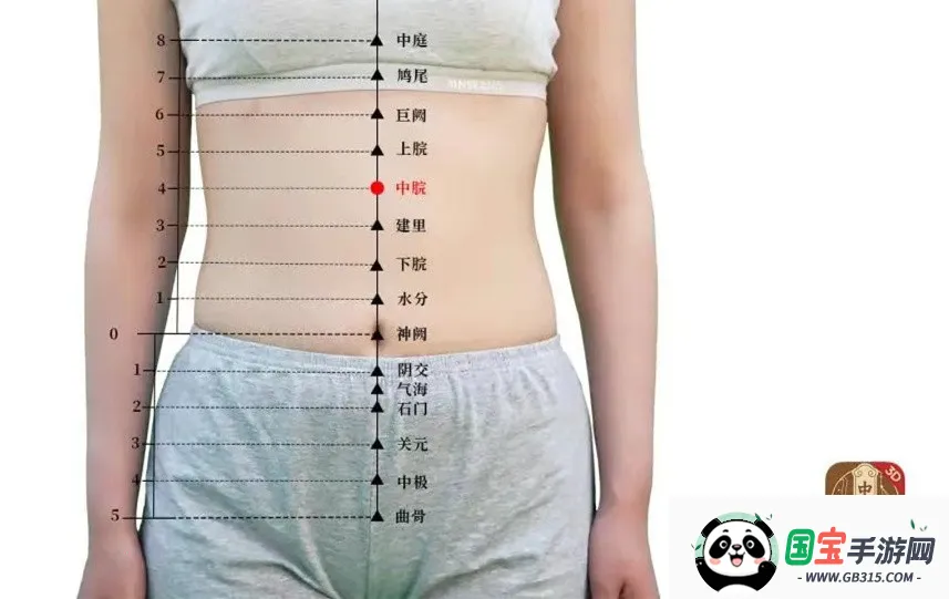 知源经络穴位2026最新版本 知源经络穴位2026最新版本