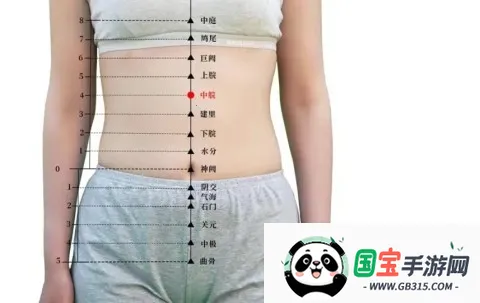 知源经络穴位2026最新版本 知源经络穴位2026最新版本