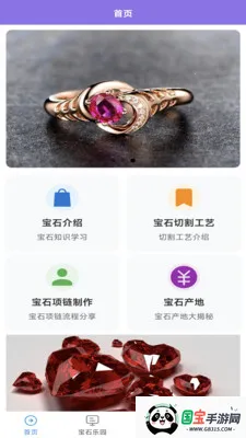 宝石家族2026下载安装v0.0.1 安卓版截图3