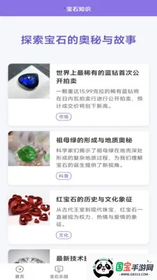 宝石家族2026下载安装v0.0.1 安卓版截图2