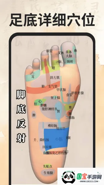 穴位经络图谱(穴位经络学习平台)v1.0.0 官方正版截图1