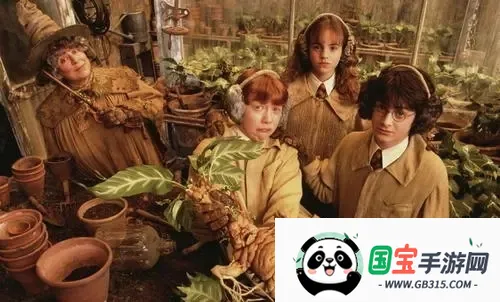 笨龙影视(免费观影软件) 笨龙影视(免费观影软件)