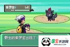 �ڴ�������ڵ���Ӱ�ƽ��