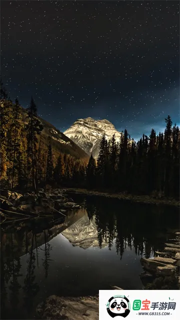 wallcraft��������