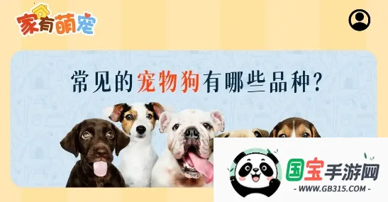 �����ȳ�2026�ٷ����°汾