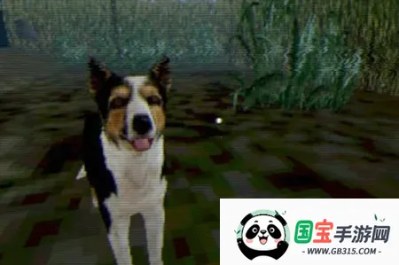 �������������ֻ���