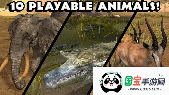 �ռ�����ģ����