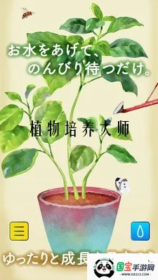 ֲ��������ʦ2026�ٷ�����