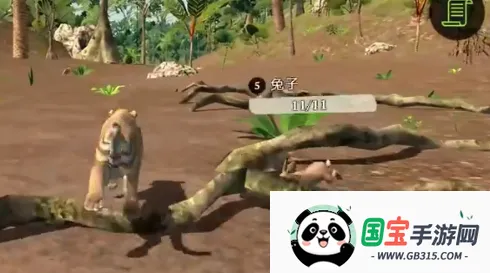 ����ģ����2026���°汾