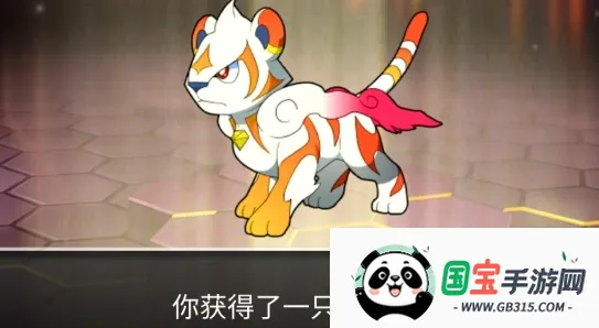 ��һ����������