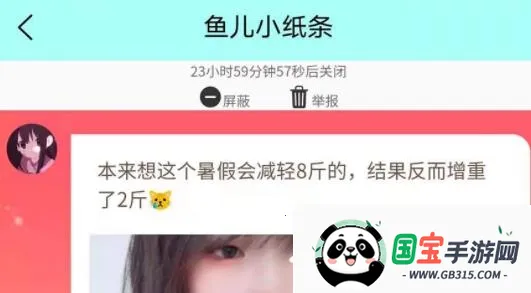 枫叶漂流瓶 枫叶漂流瓶