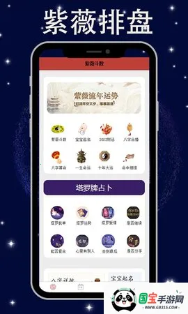 紫微斗数安卓版手机版v5.5.5 免费版截图4
